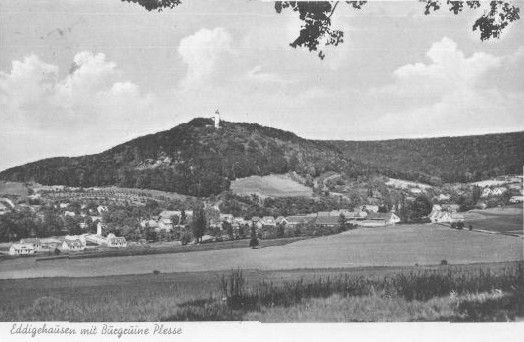 Die Burgruine Plesse bei Göttingen